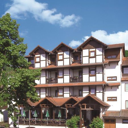 Blick Zum Maimont Hotel Ludwigswinkel Екстериор снимка