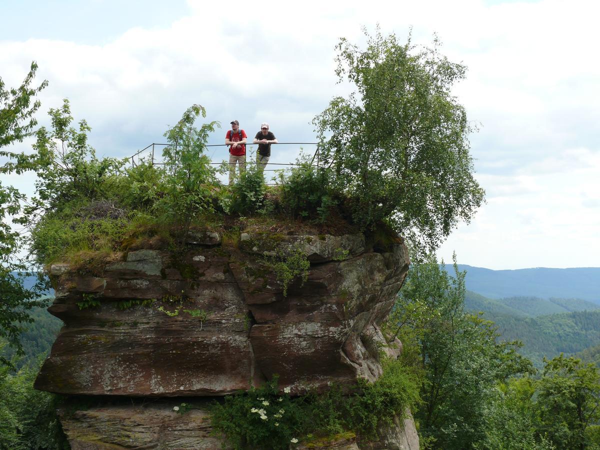 Blick Zum Maimont Hotel Ludwigswinkel Екстериор снимка