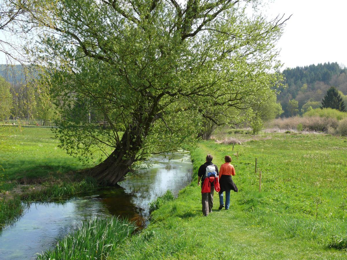 Blick Zum Maimont Hotel Ludwigswinkel Екстериор снимка