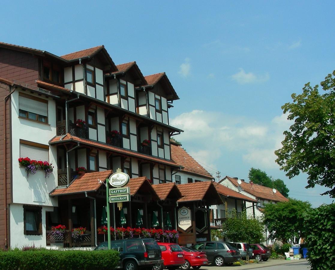 Blick Zum Maimont Hotel Ludwigswinkel Екстериор снимка