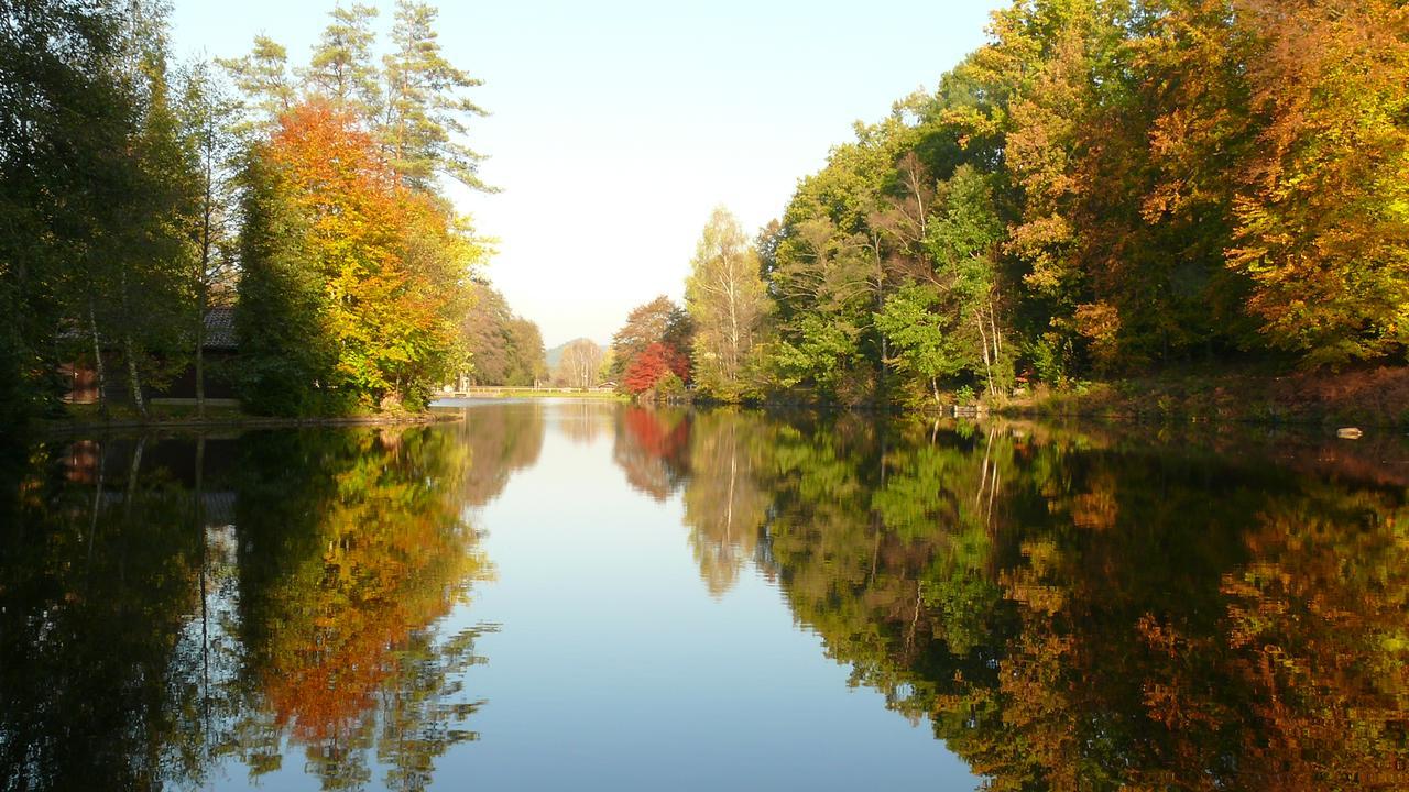 Blick Zum Maimont Hotel Ludwigswinkel Екстериор снимка