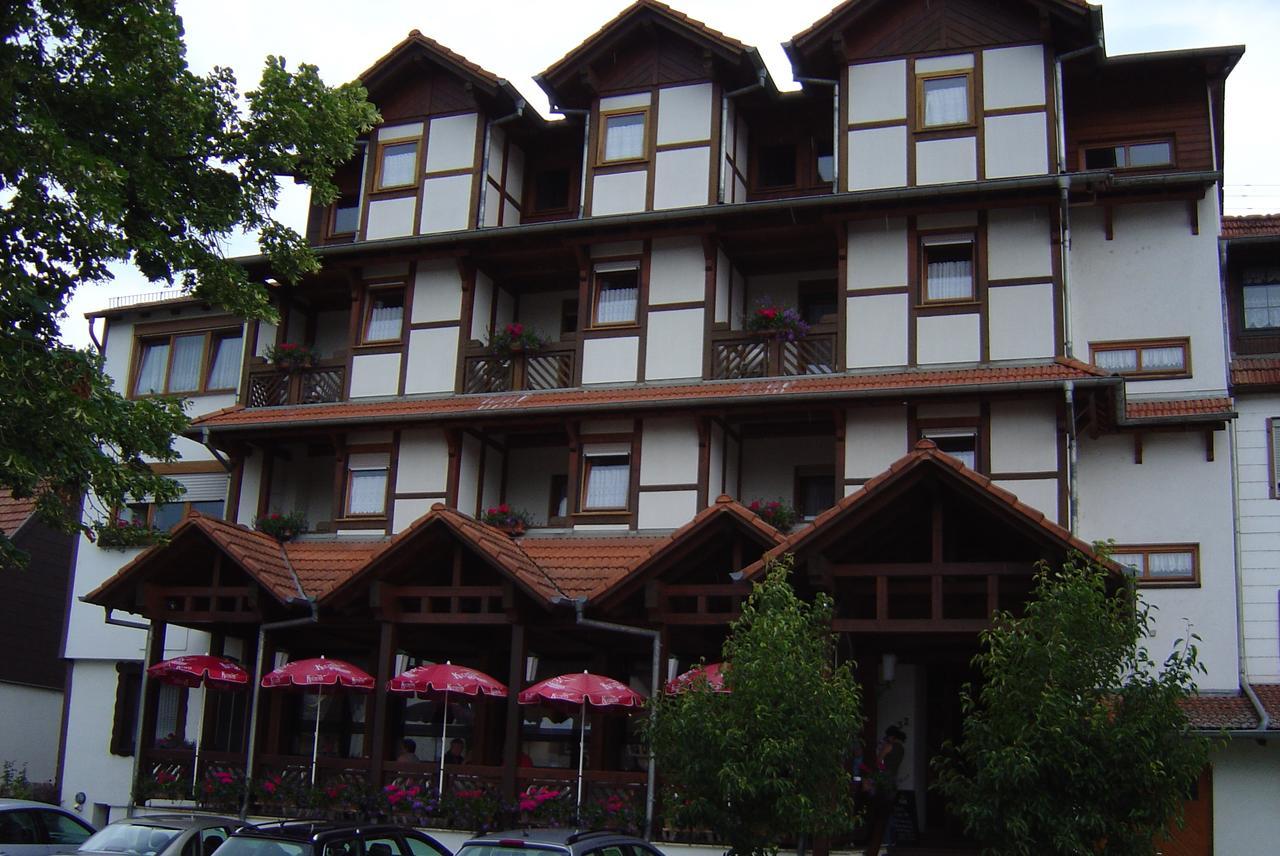 Blick Zum Maimont Hotel Ludwigswinkel Екстериор снимка