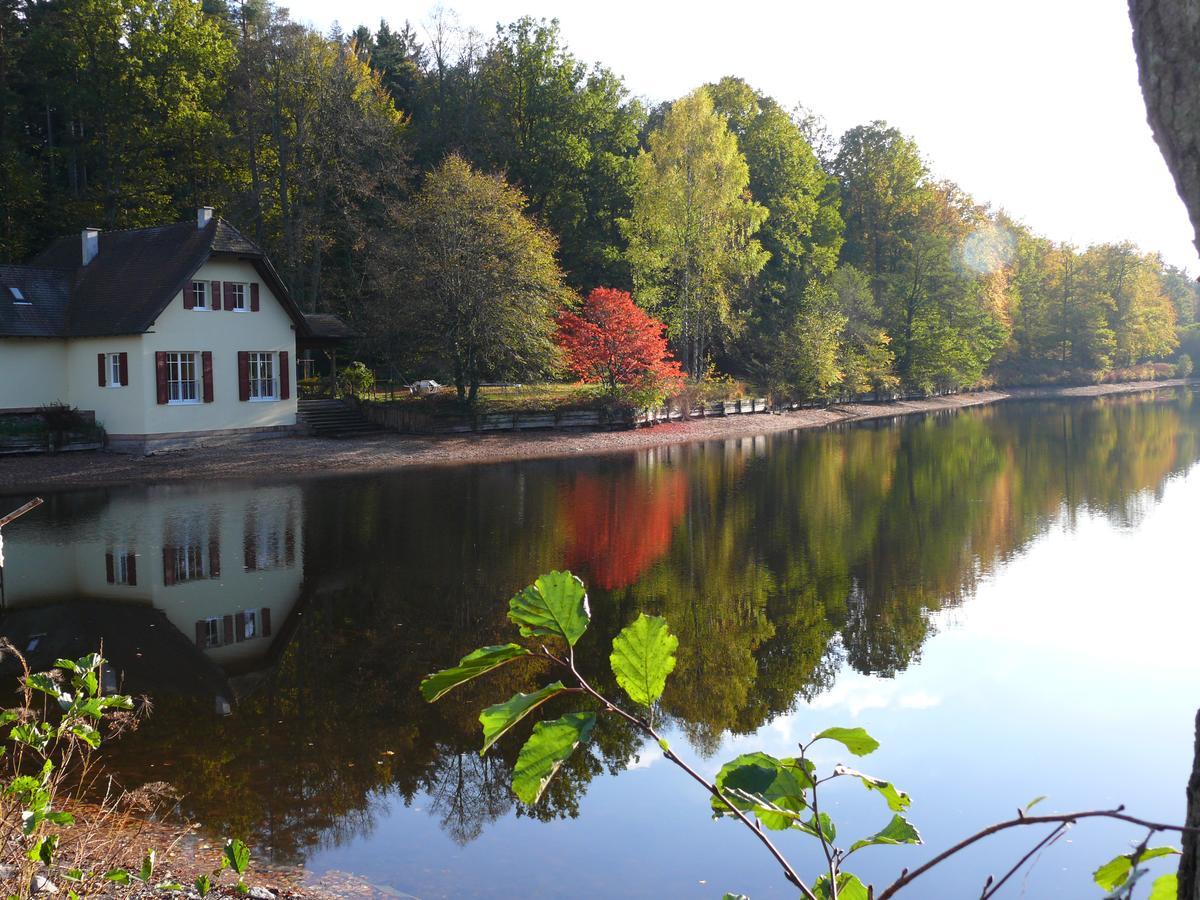 Blick Zum Maimont Hotel Ludwigswinkel Екстериор снимка