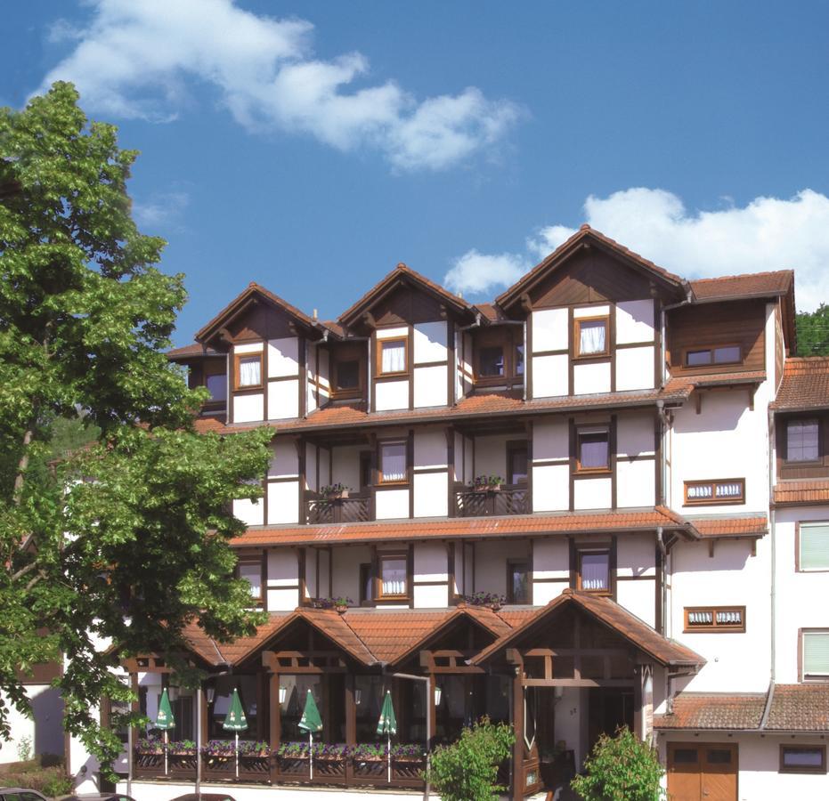 Blick Zum Maimont Hotel Ludwigswinkel Екстериор снимка